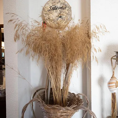 Le Marocce - Relax Pool 4 Km From Castro فيلة *